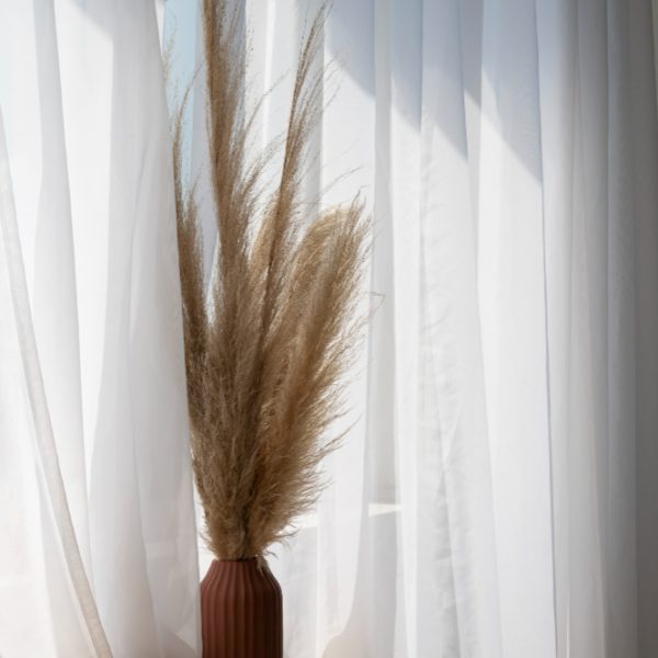 interior-design-with-decorative-plant